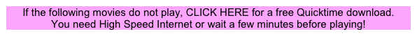If the following movies do not play, CLICK HERE for a free Quicktime download.
You need High Speed Internet or wait a few minutes before playing!