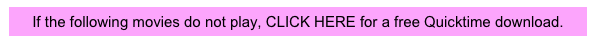 If the following movies do not play, CLICK HERE for a free Quicktime download.