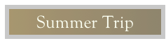 Summer Trip